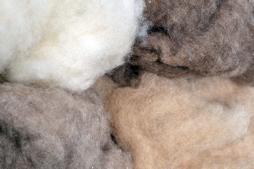 Dehaired Cashmere, Camel amp; Baby camel wool