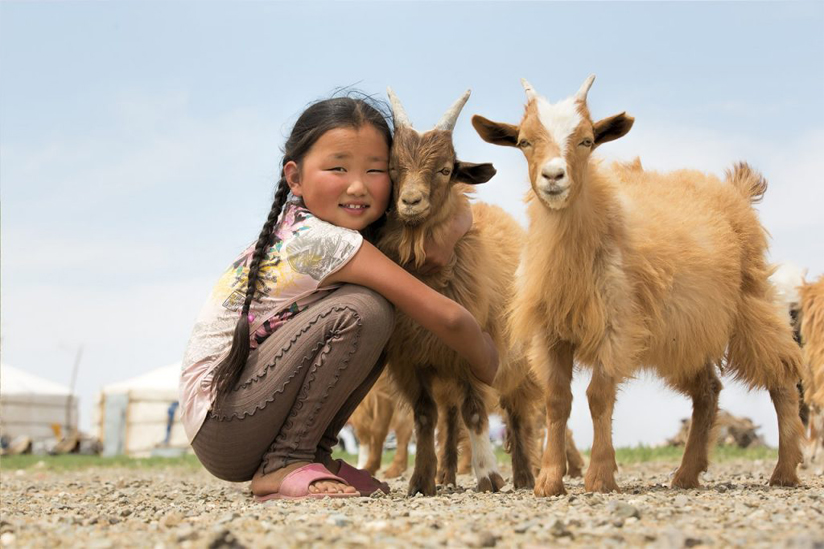 CASHMERE STORY